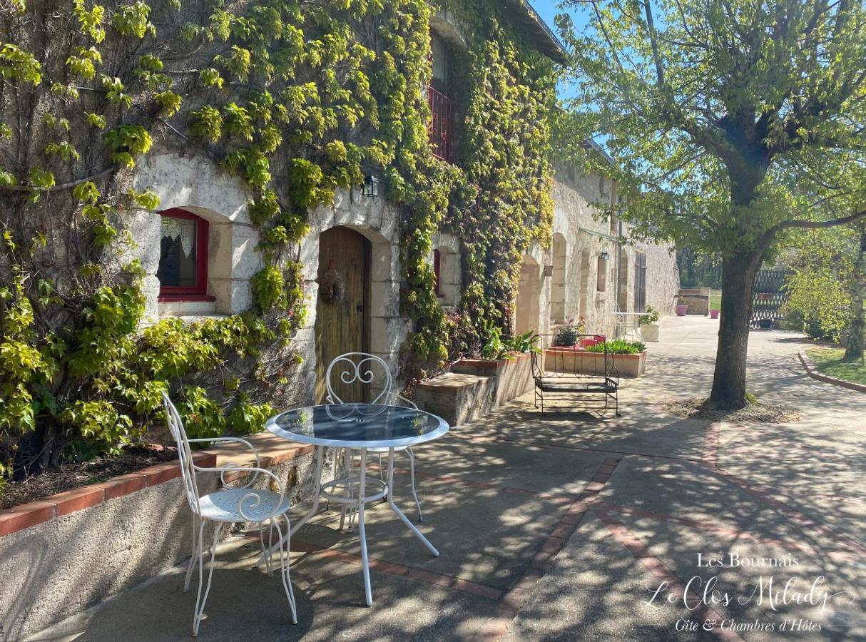 Chambres d'Hôtes Les Bournais - Le Clos Milady L'Ile-Bouchard Extérieur photo