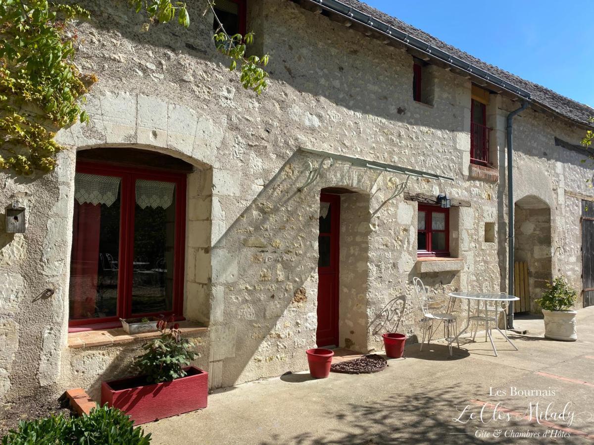 Chambres d'Hôtes Les Bournais - Le Clos Milady L'Ile-Bouchard Extérieur photo