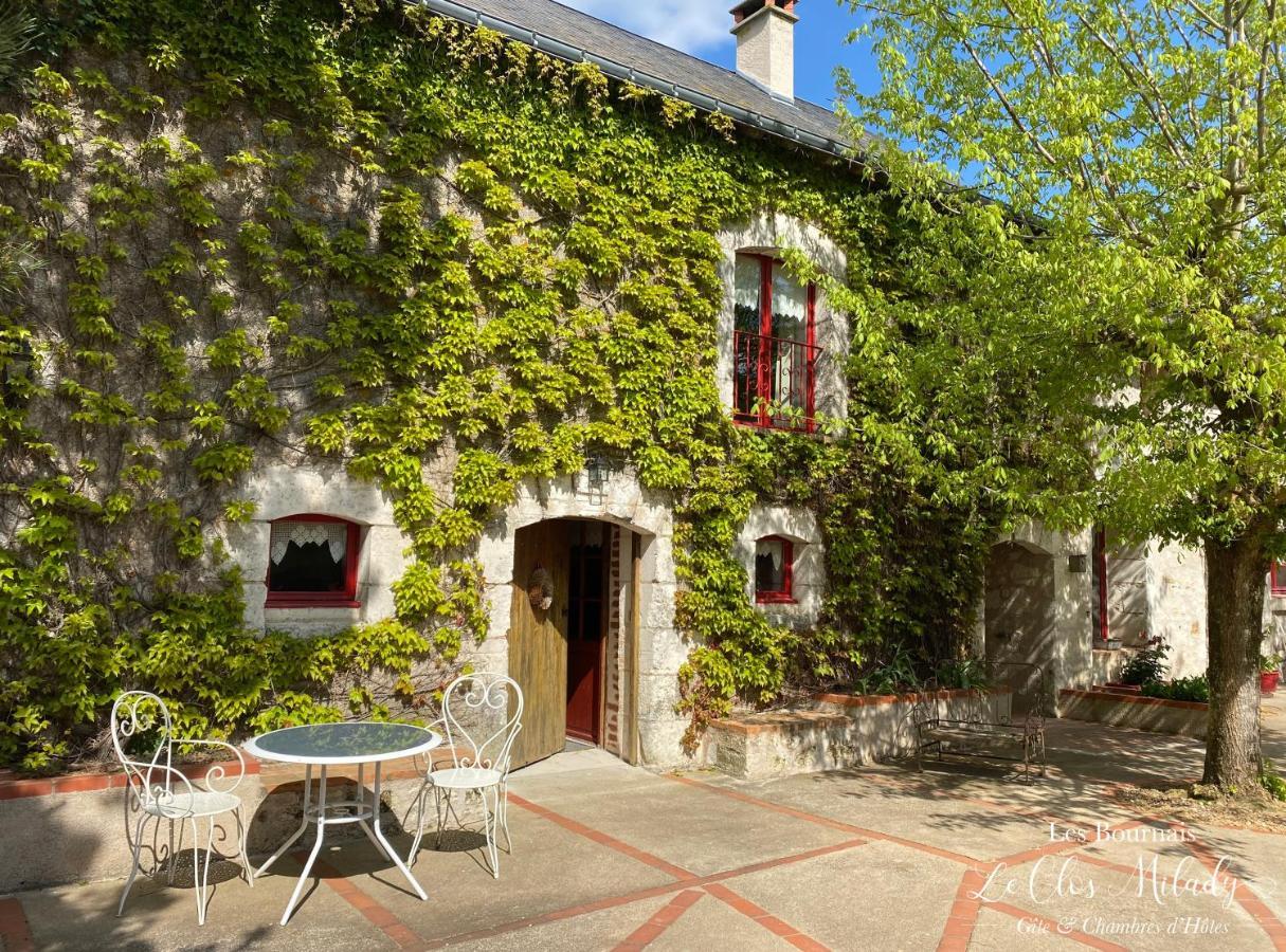 Chambres d'Hôtes Les Bournais - Le Clos Milady L'Ile-Bouchard Extérieur photo