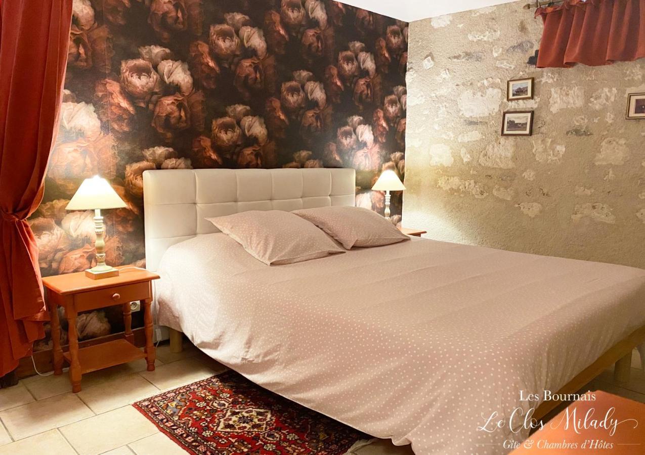 Chambres d'Hôtes Les Bournais - Le Clos Milady L'Ile-Bouchard Extérieur photo
