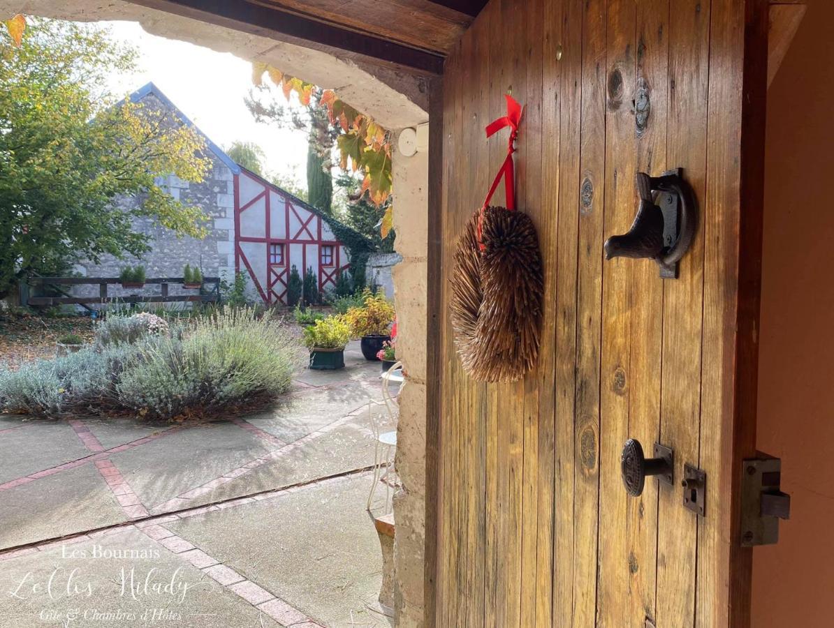 Chambres d'Hôtes Les Bournais - Le Clos Milady L'Ile-Bouchard Extérieur photo
