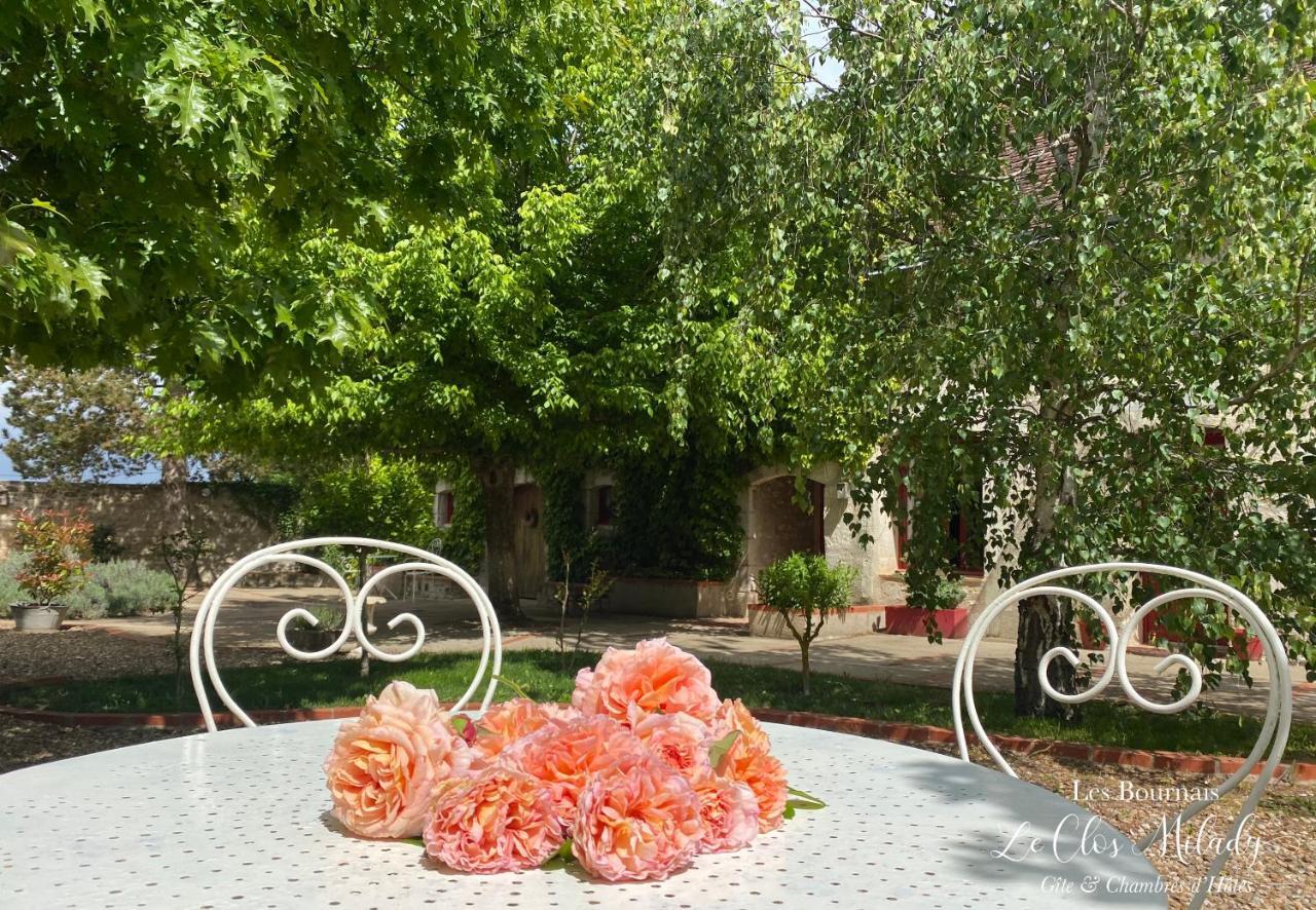 Chambres d'Hôtes Les Bournais - Le Clos Milady L'Ile-Bouchard Extérieur photo