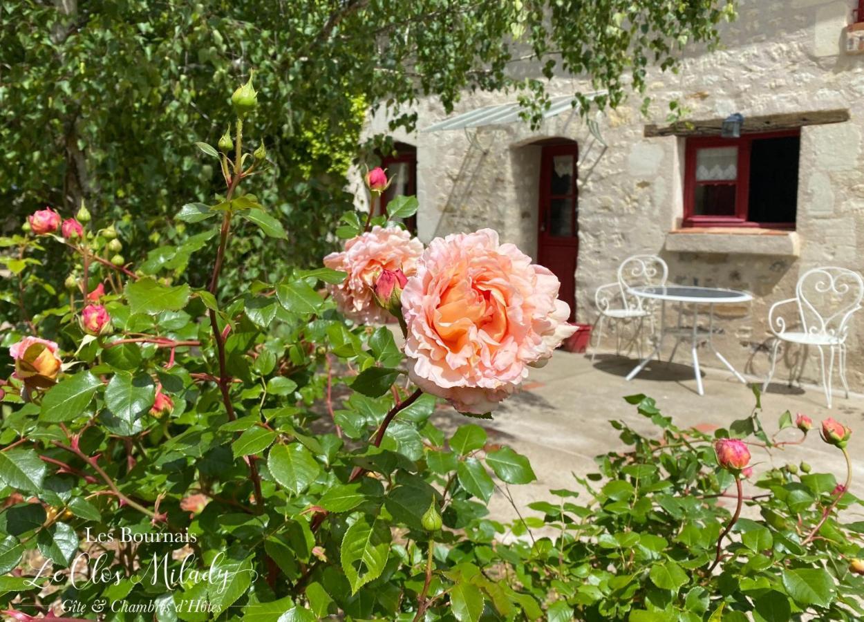 Chambres d'Hôtes Les Bournais - Le Clos Milady L'Ile-Bouchard Extérieur photo