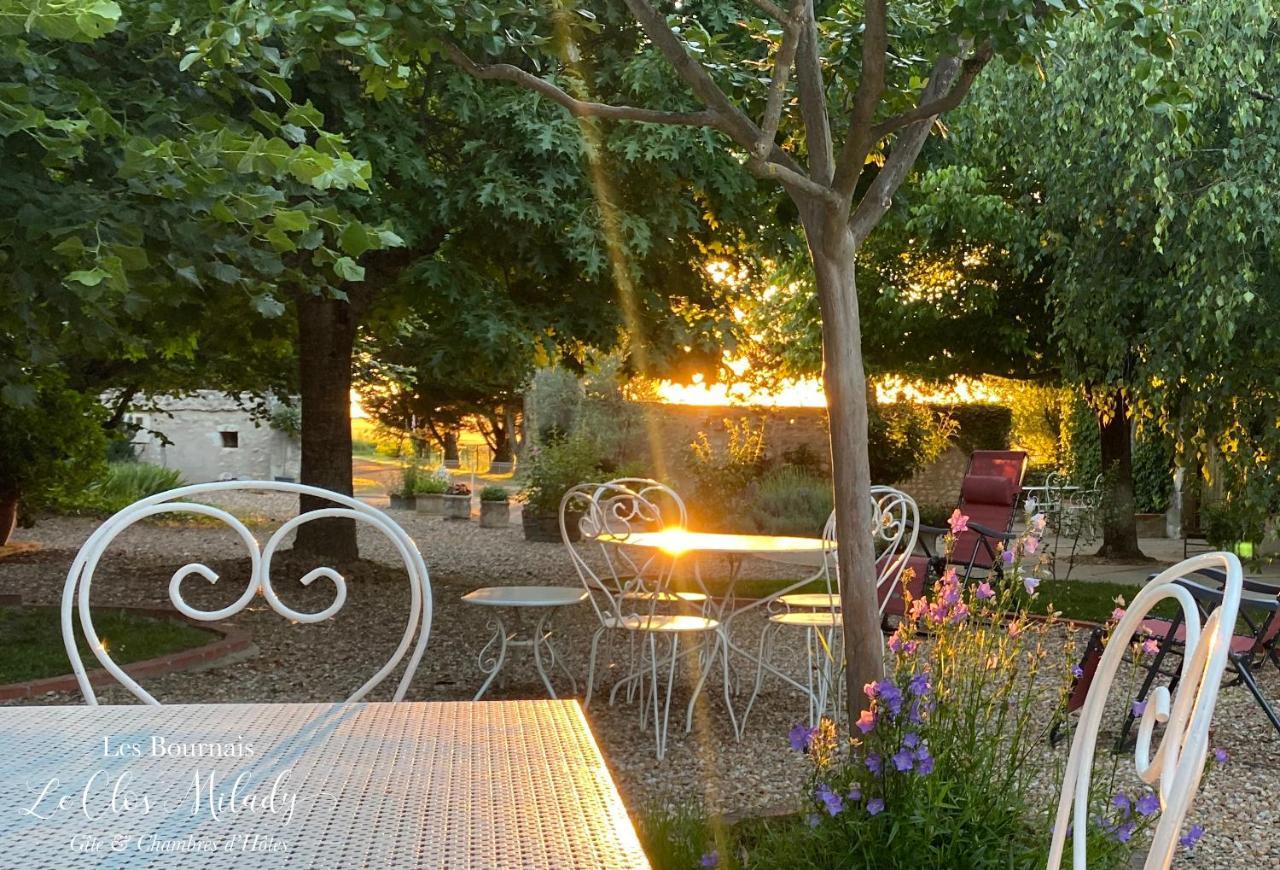 Chambres d'Hôtes Les Bournais - Le Clos Milady L'Ile-Bouchard Extérieur photo