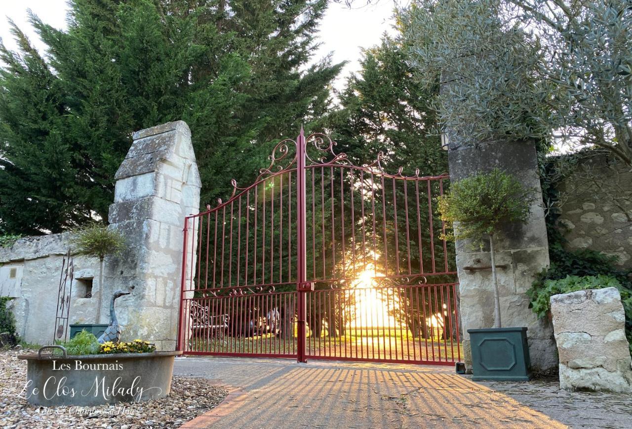 Chambres d'Hôtes Les Bournais - Le Clos Milady L'Ile-Bouchard Extérieur photo