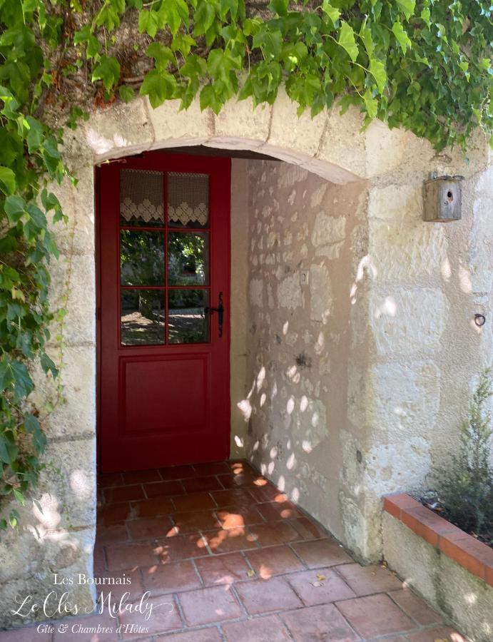 Chambres d'Hôtes Les Bournais - Le Clos Milady L'Ile-Bouchard Extérieur photo