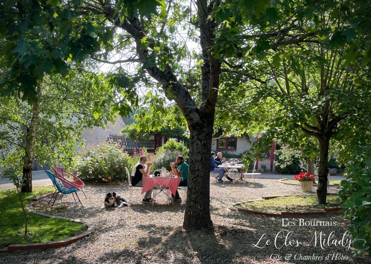 Chambres d'Hôtes Les Bournais - Le Clos Milady L'Ile-Bouchard Extérieur photo
