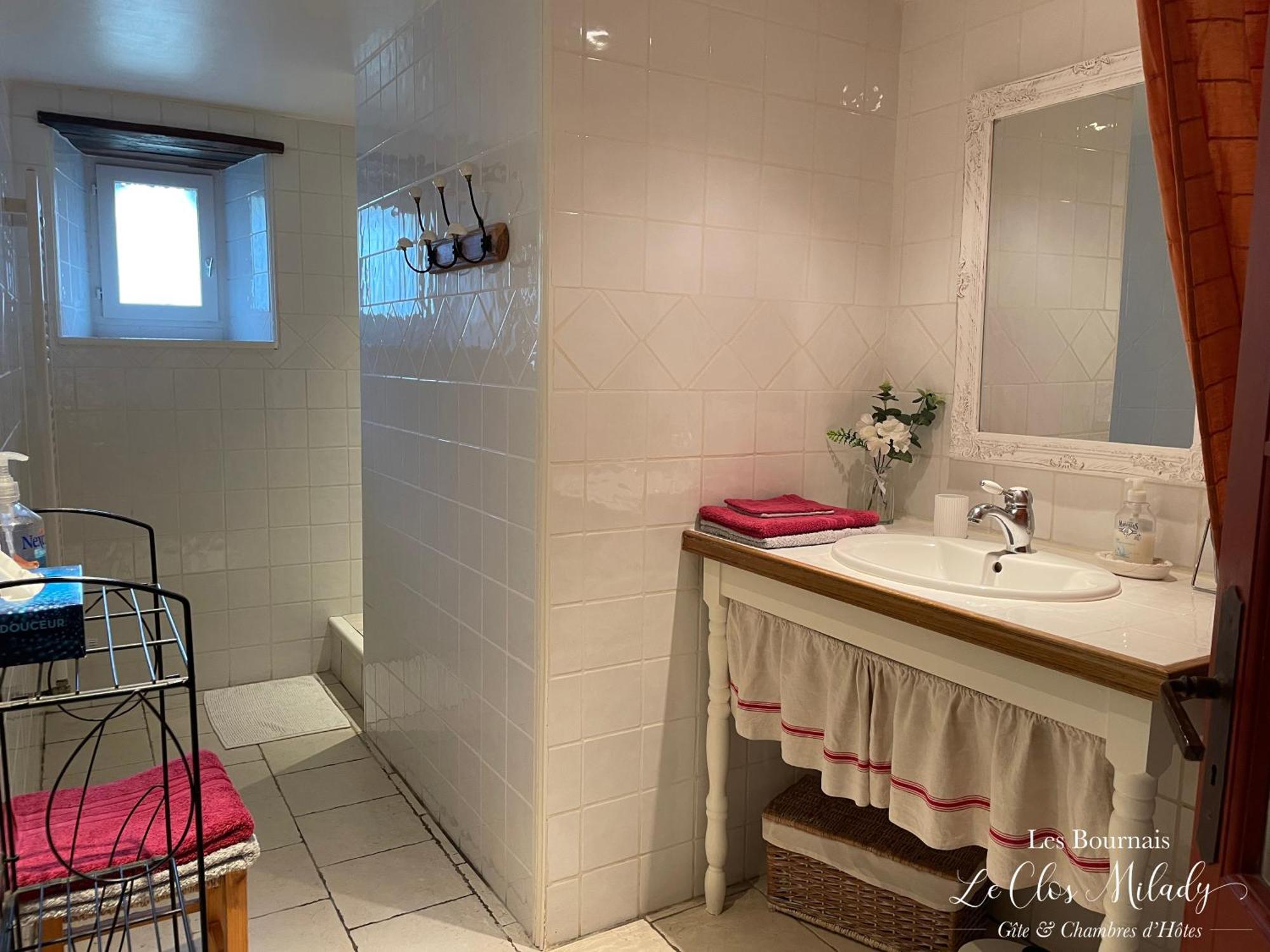 Chambres d'Hôtes Les Bournais - Le Clos Milady L'Ile-Bouchard Extérieur photo